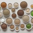 Unlocking Plant Power: A Beginner's Guide to Vegan Protein Essentials