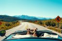 The Ultimate Road Trip Planning Guide: Explore the Open Road Like a Pro!